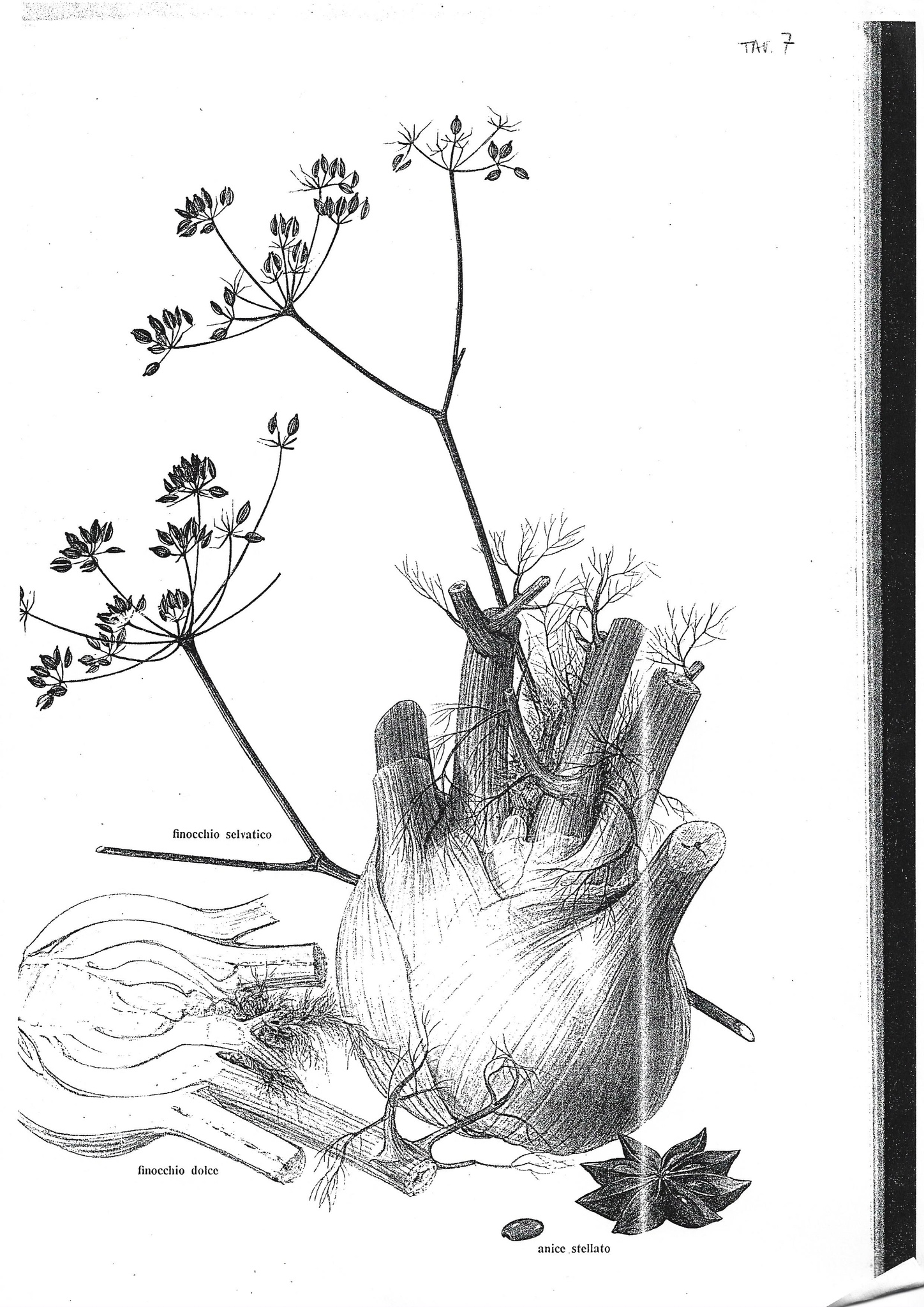 2005-09-01-Drawing-Class-3-1