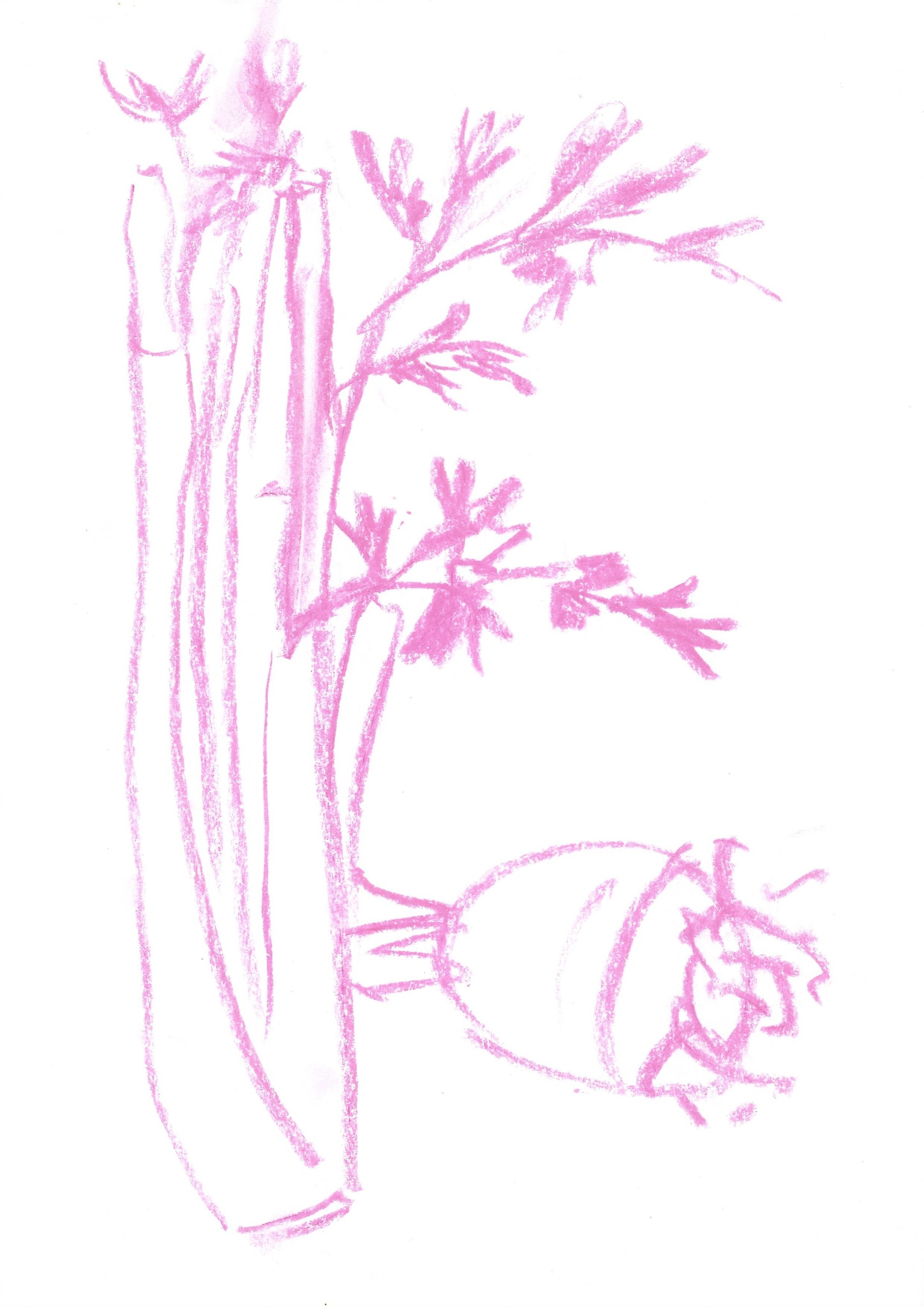 2005-09-01-Drawing-Class-3-2