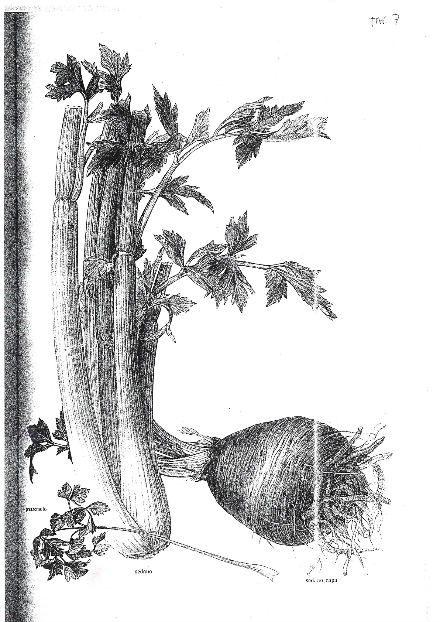 2005-09-01-Drawing-Class-3-3