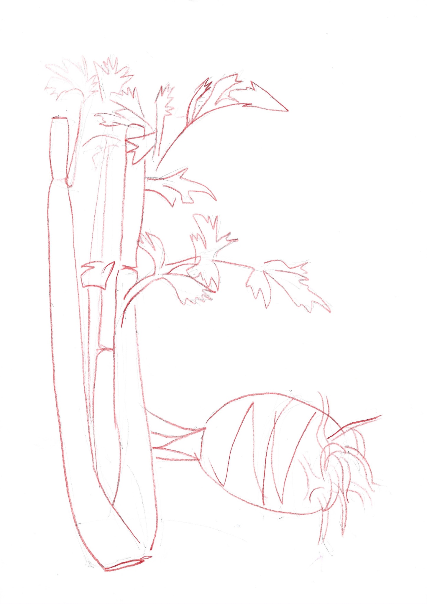 2005-09-01-Drawing-Class-3-4