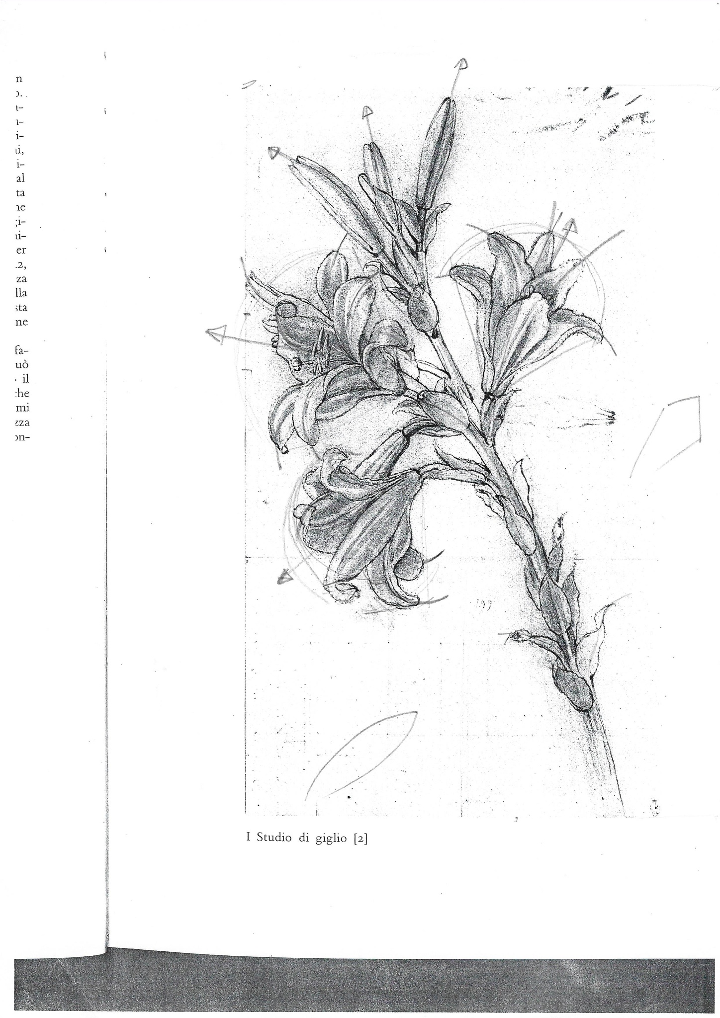 2005-09-01-Drawing-Class-4-2