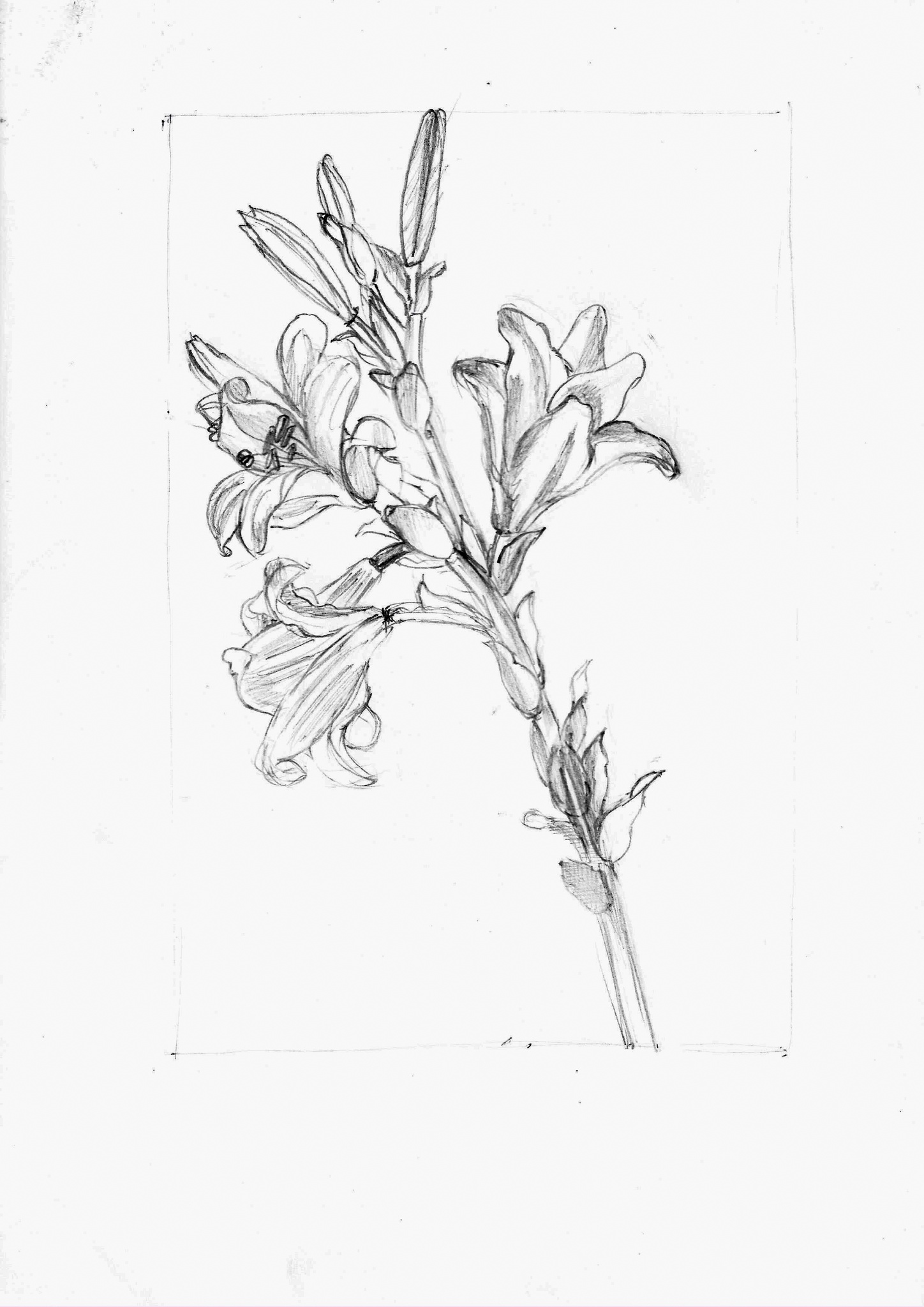 2005-09-01-Drawing-Class-4-3